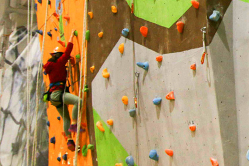 Programe scoli si gradinite / Program Scoala Altfel Indoor Climbing  Sibiu